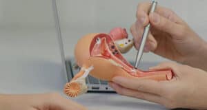 Endometriose, Vulvodynie & Co: Der lange Weg zur richtigen Diagnose