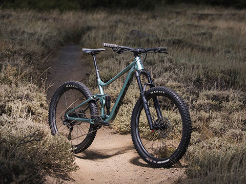 Radfahren und Demenz: Wie Bewegung das Gehirn schützt und Alzheimer vorbeugen kann