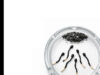 Stress und Fruchtbarkeit beim Mann: Wie Druck die Spermienqualität beeinflusst