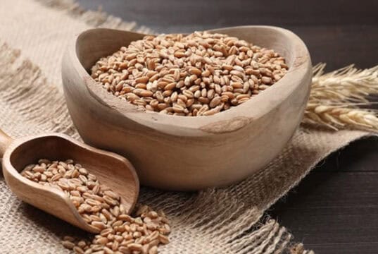 Vollkorn: Schon 3 Portionen täglich könnten Herz und Cholesterin helfen